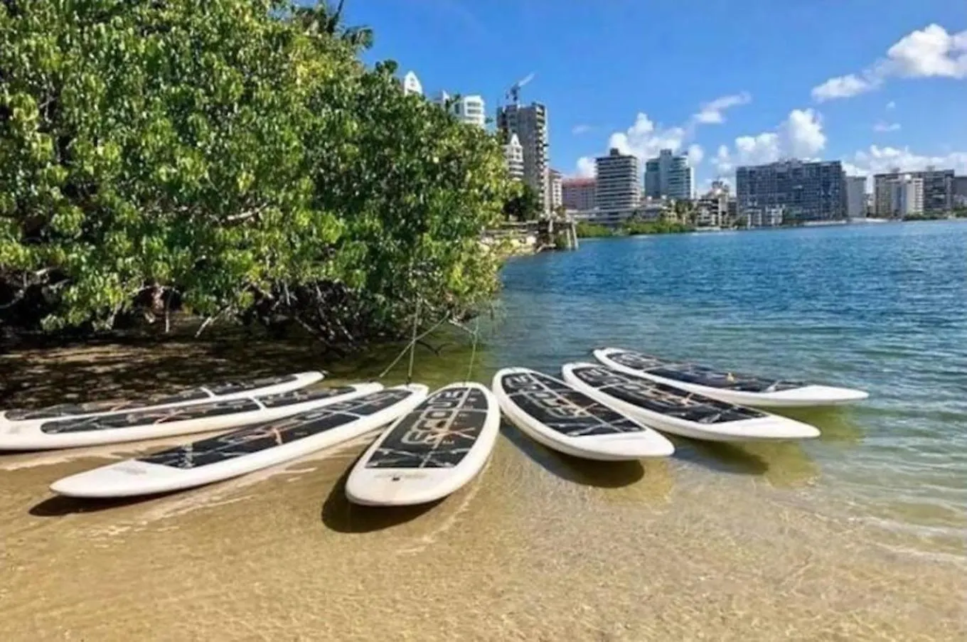 P4 Pr Rentals Condado Beach Guesthouse San Juan Puerto Rico